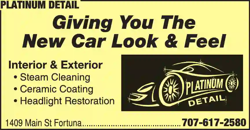 Car Wash & Polish print ad for Platinum Detail
