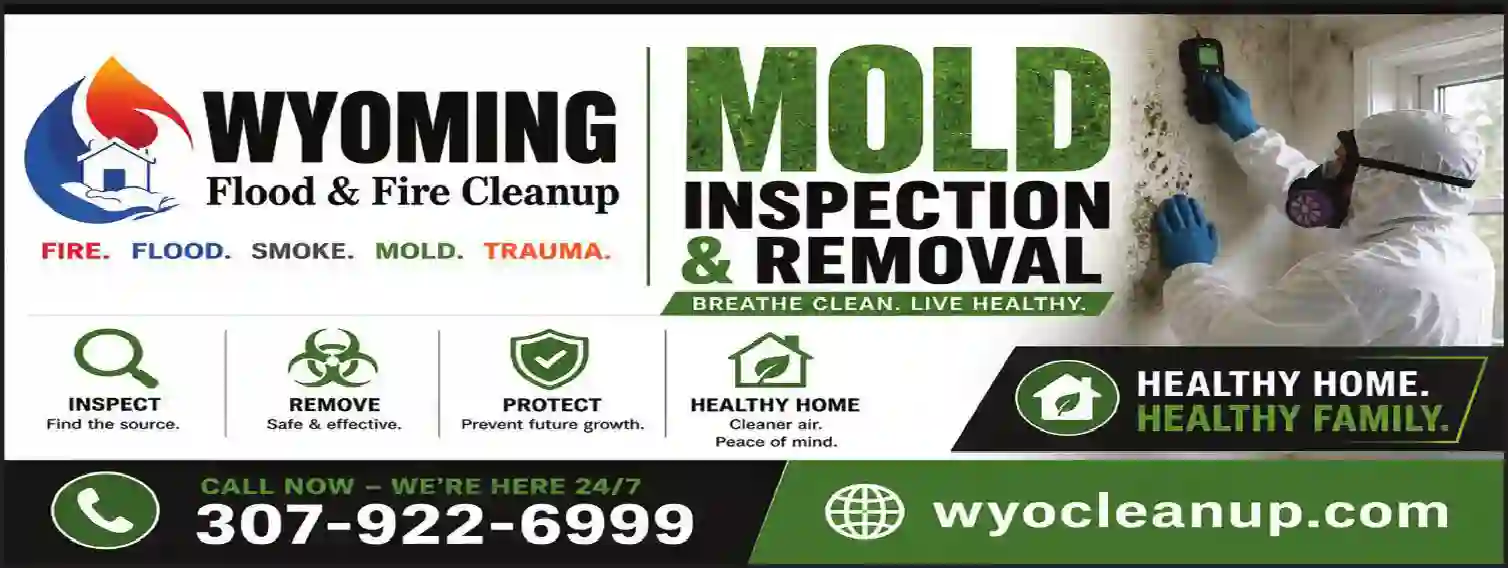Mold Inspection & Removal print ad for Wyoming Flood & Fire Cleanup