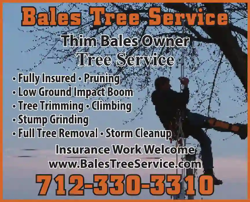 Stump Removal print ad for Bales Tree Service