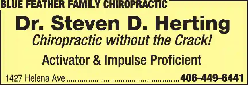 Chiropractors, D.C. print ad for Blue Feather Family Chiropractic