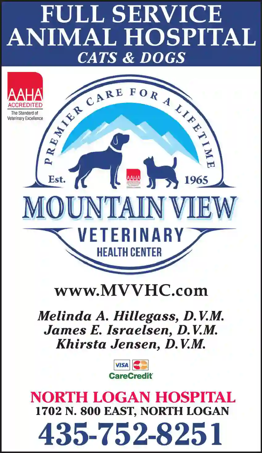 Veterinarians & Hospitals print ad for Mountain View Veterinary Health Center