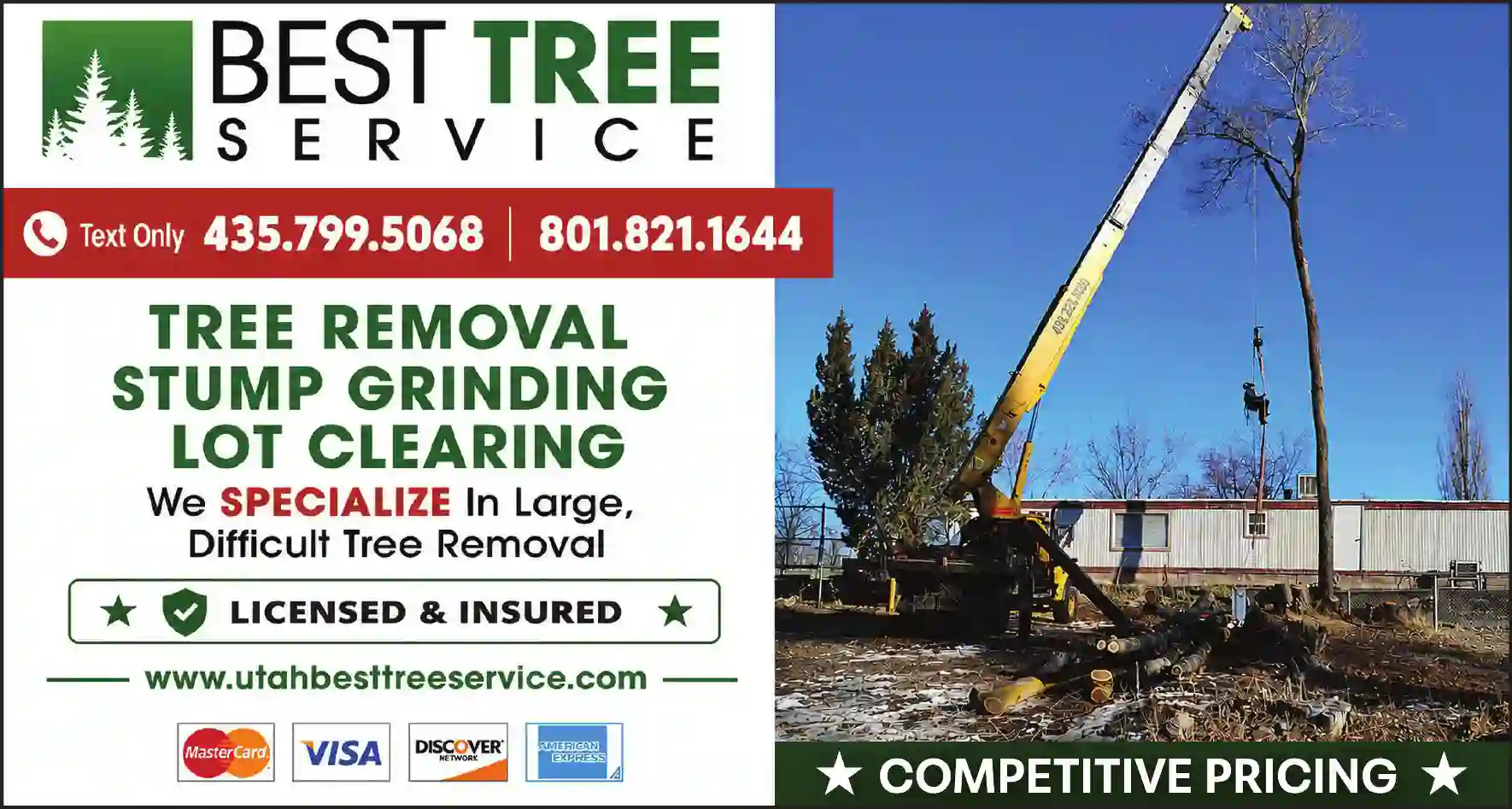 Tree Service print ad for Best Tree Service
