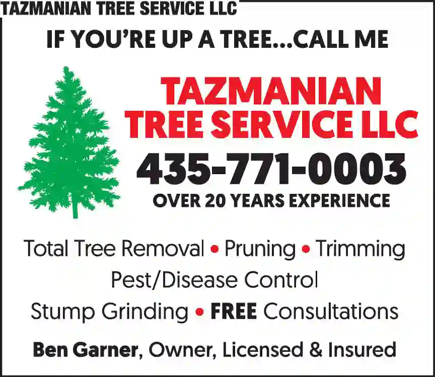 Tree Service print ad for Tazmanian Tree Service LLC