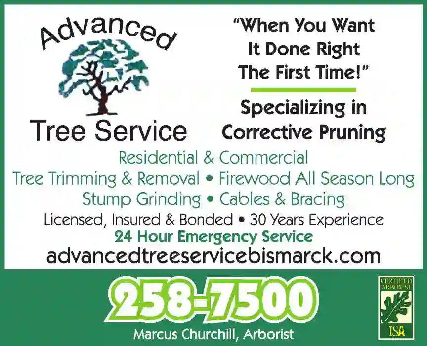 Tree Service print ad for Advanced Tree Service