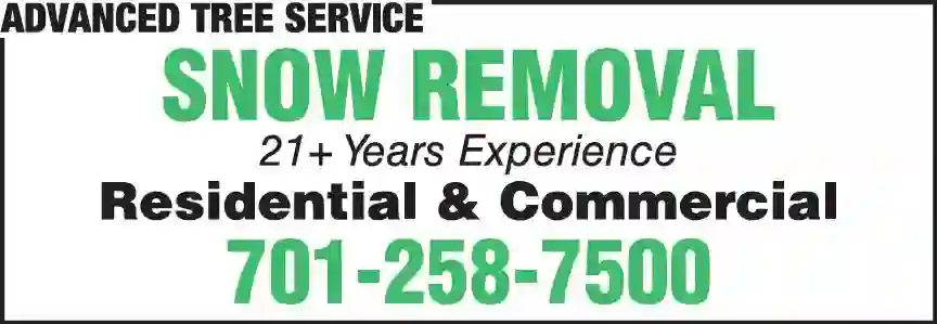 Snow Removal Service print ad for Advanced Tree Service