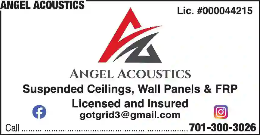 Acoustical Ceilings print ad for Angel Acoustics