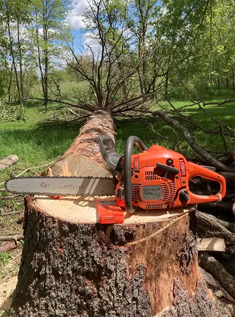 Photo of Kangas Tree Service - Detroit Lakes, MN
