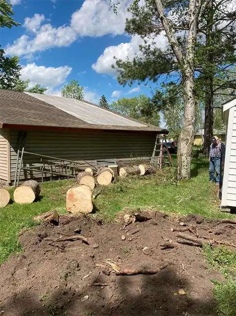 Photo of Kangas Tree Service - Detroit Lakes, MN