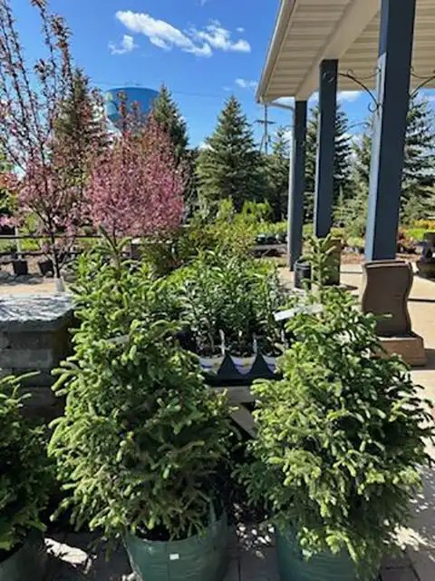 Photo of Lakes Country Landscaping & Irrigation - Perham, MN