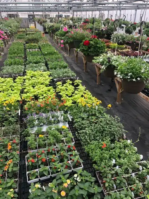 Photo of Lakes Country Landscaping & Irrigation - Perham, MN