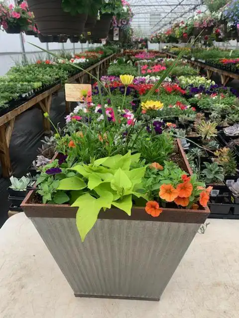 Photo of Lakes Country Landscaping & Irrigation - Perham, MN