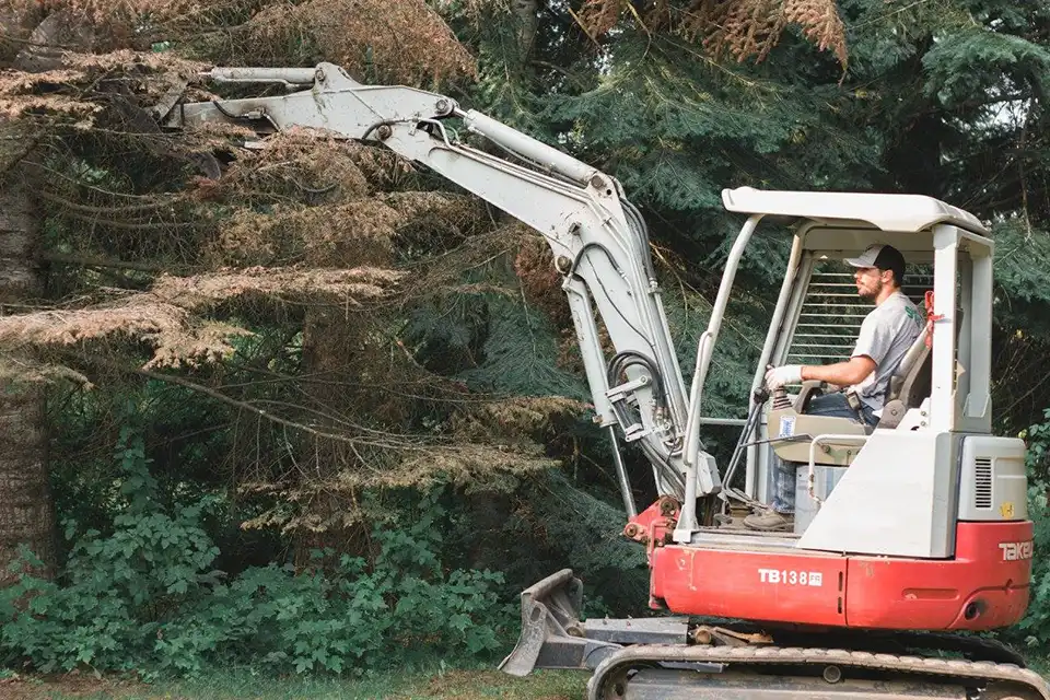 Photo of Select Cut Tree Service - Dalton Gardens, ID