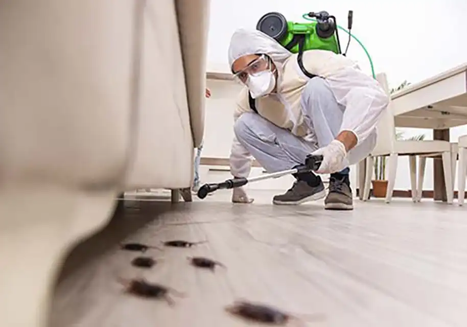 Photo of Midwest Pest Control Inc